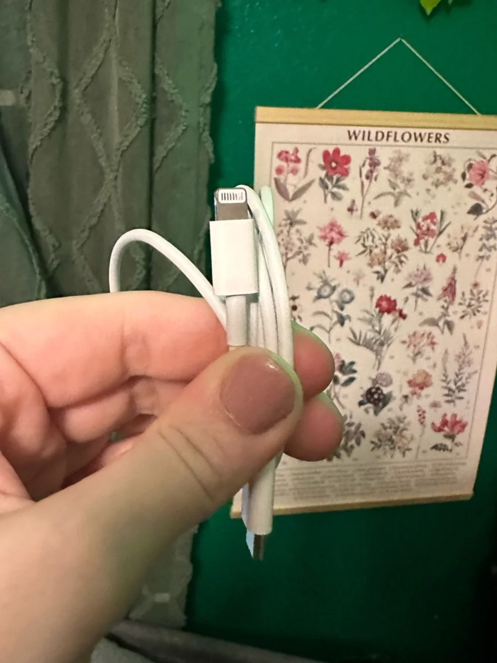 Lightning - USB-C Charging Cable